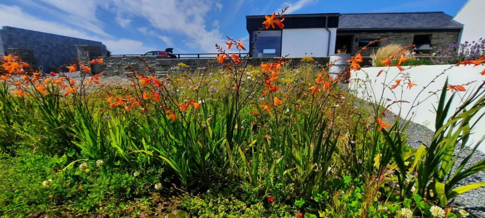 Rose Meadow Lodge Liscannor Dış mekan fotoğraf
